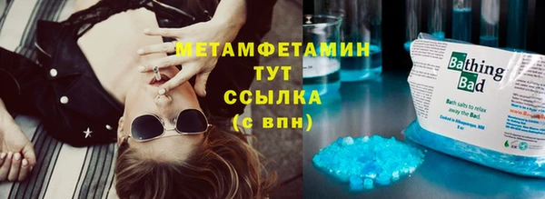 шишки Заволжье