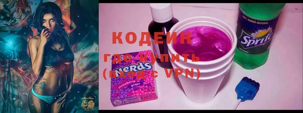 шишки Заволжье