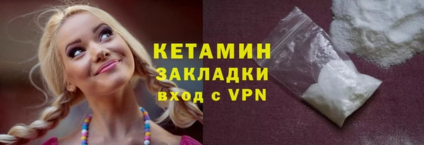 шишки Заволжье
