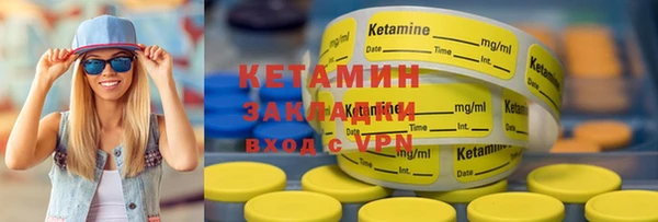 шишки Заволжье