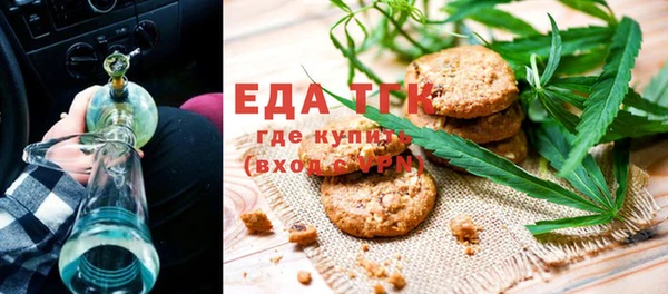 шишки Заволжье