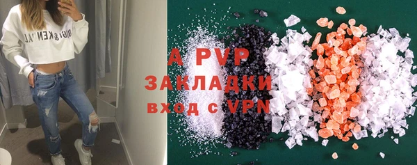 шишки Заволжье