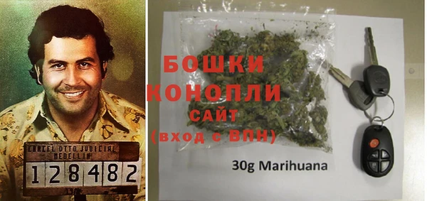 шишки Заволжье