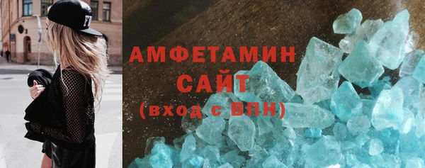 шишки Заволжье