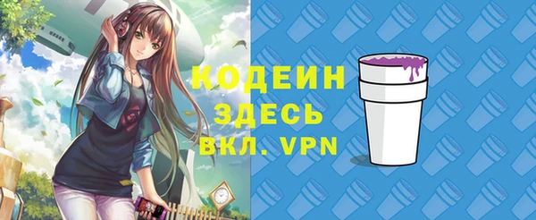 шишки Заволжье