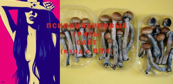 марки nbome Заводоуковск