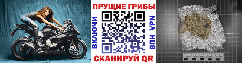 Купить  Ивангород  Псилоцибиновые грибы Psilocybine cubensis 
